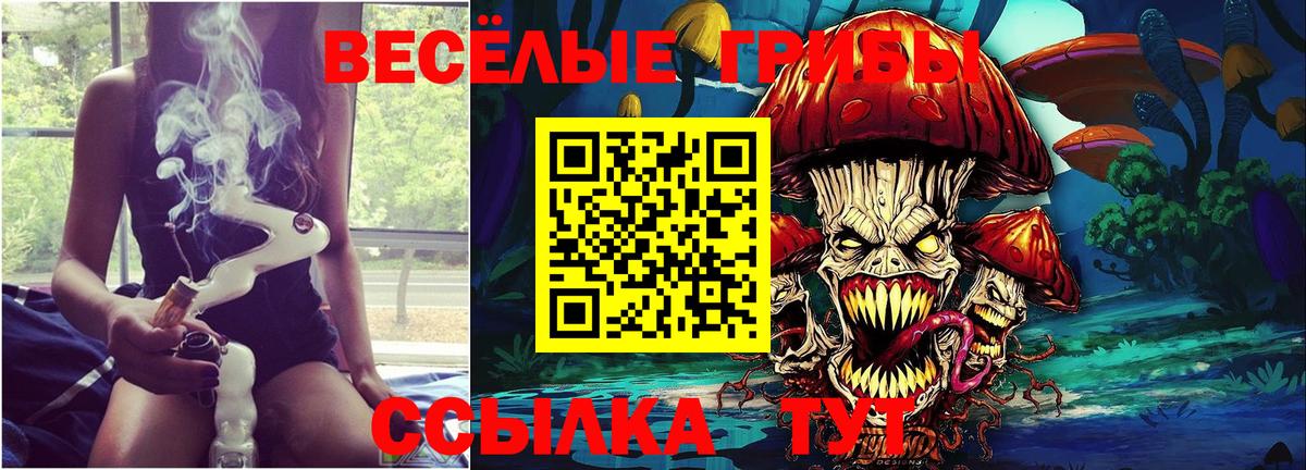 Галлюциногенные грибы Psilocybe Иркутск