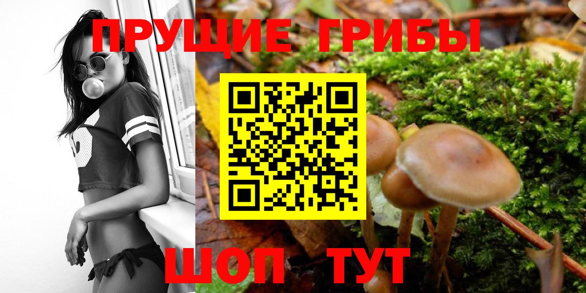 Галлюциногенные грибы Psilocybe  Галлюциногенные грибы мухоморы  Вход с VPN  Иркутск 